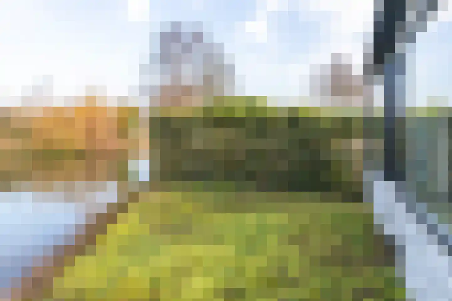 Rijnbandijk 111 87 Maurik thumbnail 56