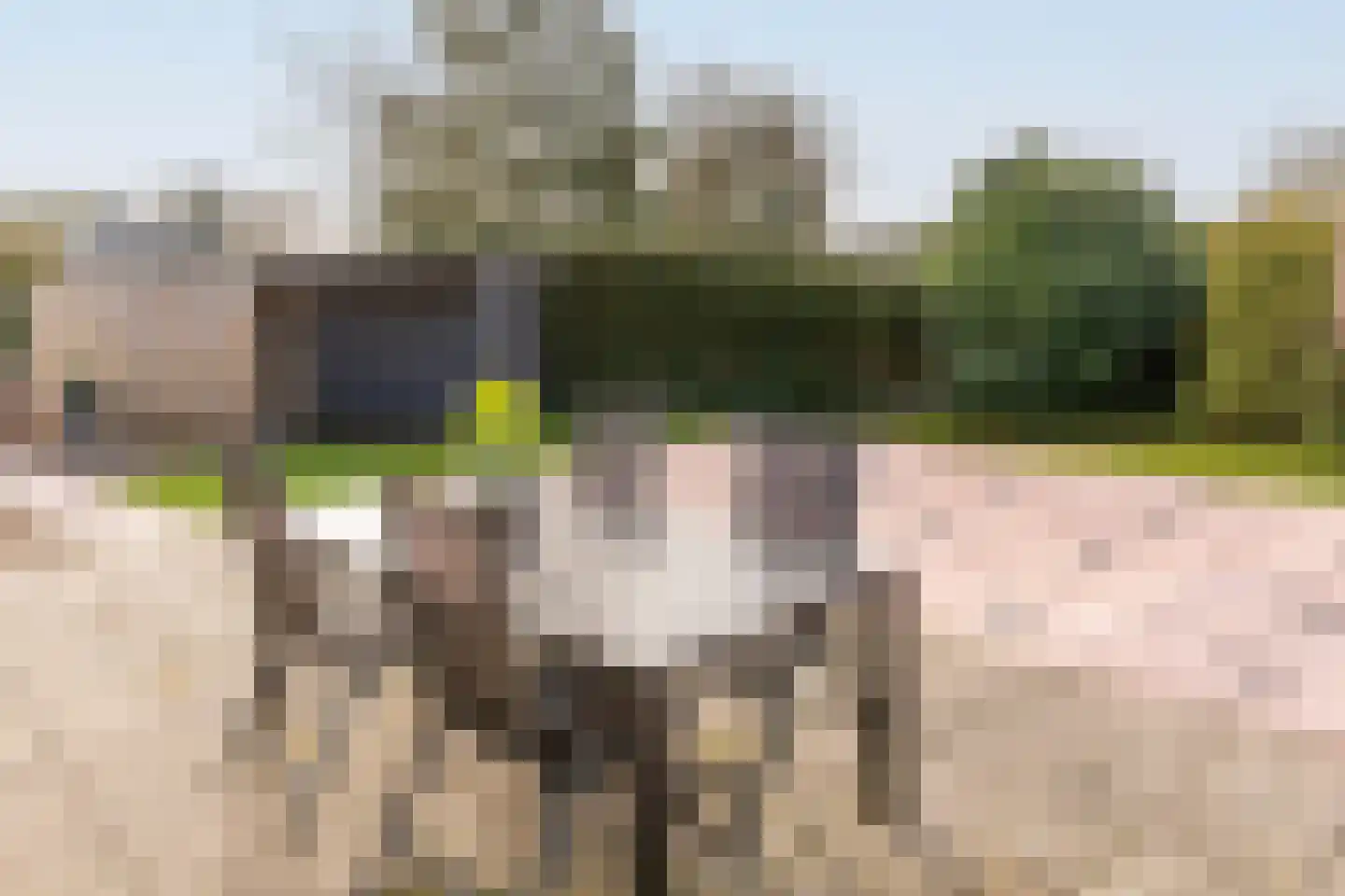 Rijnbandijk 111 87 Maurik thumbnail 59