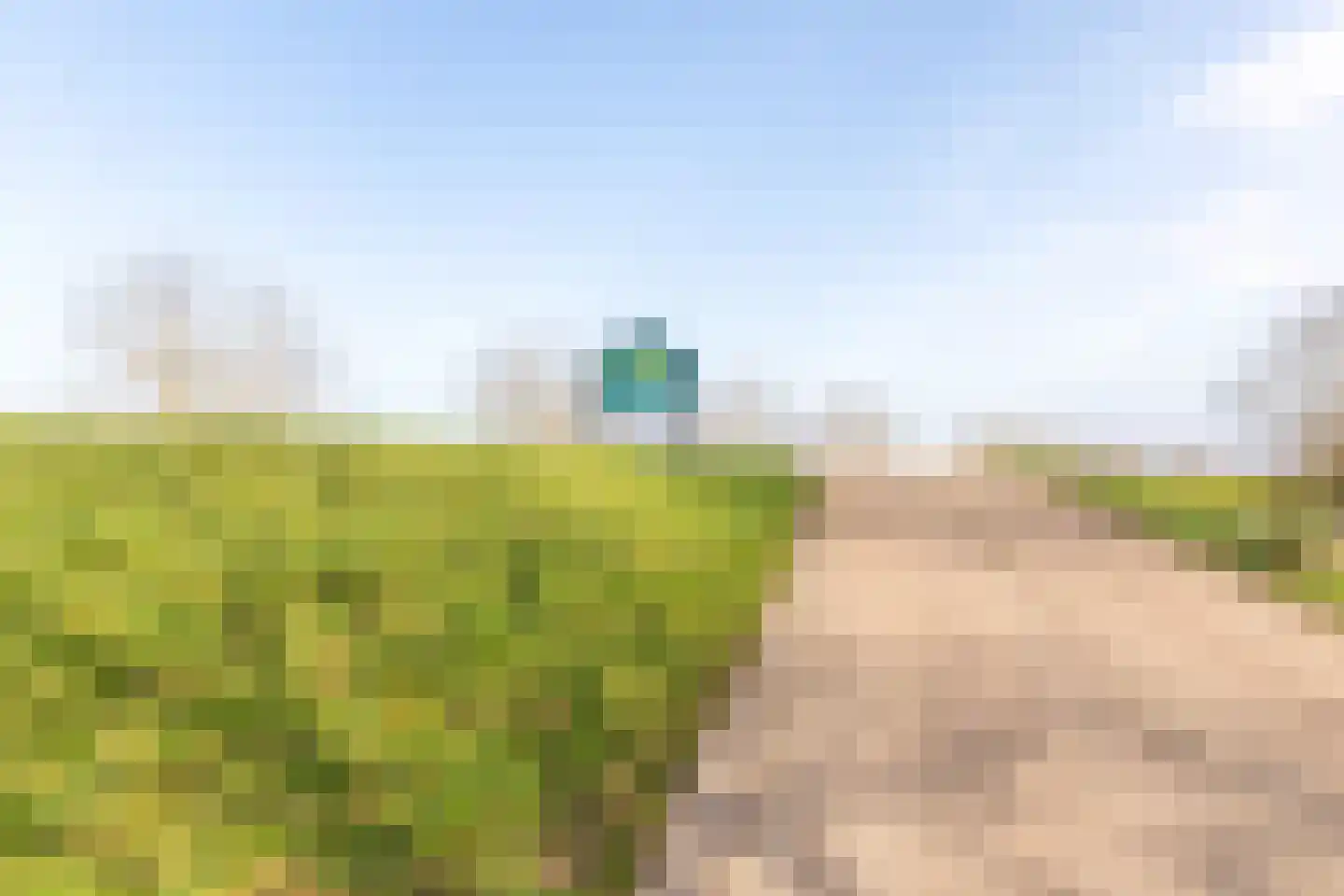 Rijnbandijk 111 87 Maurik thumbnail 66
