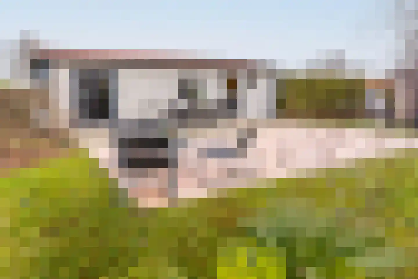 Rijnbandijk 111 87 Maurik thumbnail 7