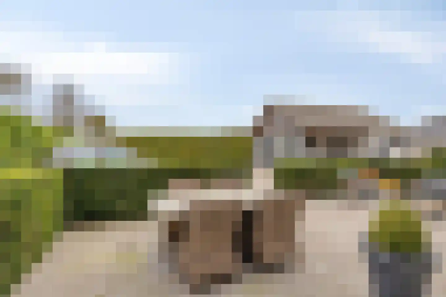 Rijnbandijk 113 Maurik thumbnail 34