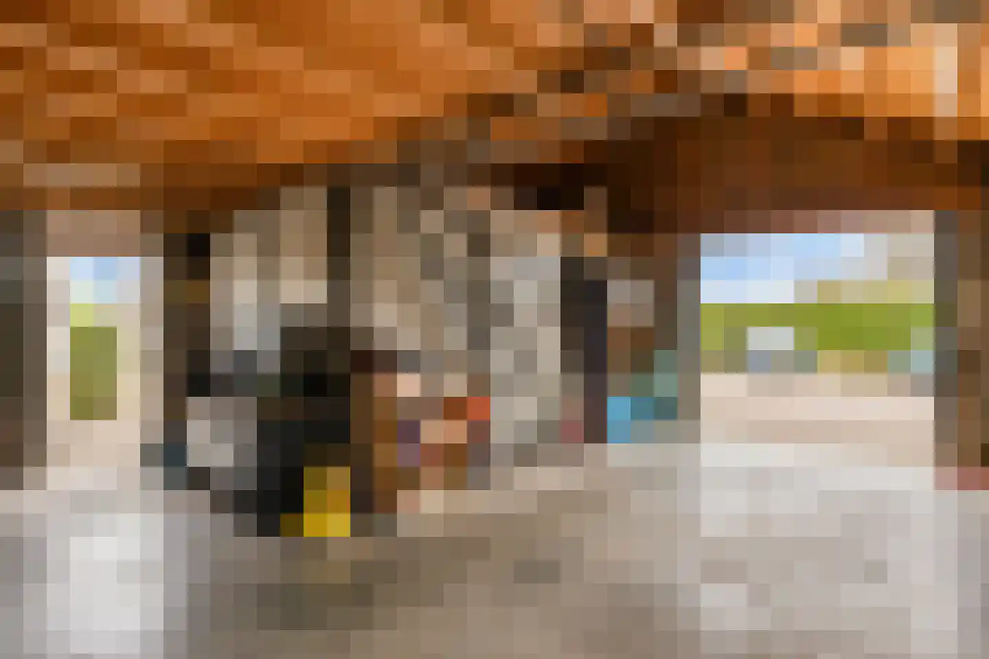 Rijnbandijk 113 Maurik thumbnail 46