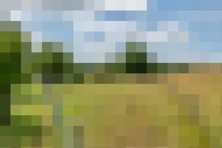 Rijnbandijk 125 Maurik thumbnail 13