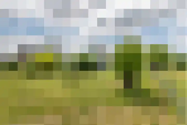 Rijnbandijk 125 Maurik thumbnail 14