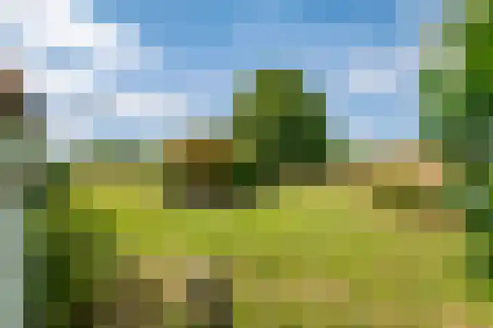 Rijnbandijk 125 Maurik thumbnail 17