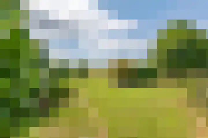 Rijnbandijk 125 Maurik thumbnail 18