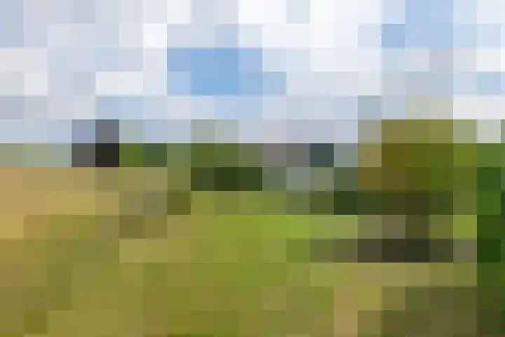 Rijnbandijk 125 Maurik thumbnail 19