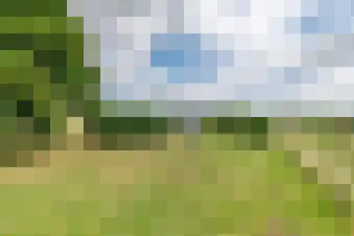 Rijnbandijk 125 Maurik thumbnail 20