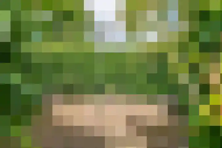 Rijnbandijk 125 Maurik thumbnail 21