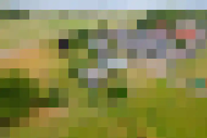 Rijnbandijk 125 Maurik thumbnail 23