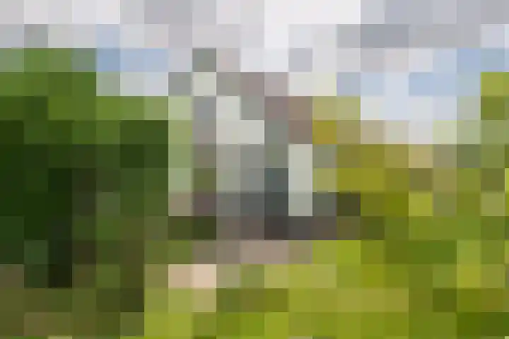 Rijnbandijk 125 Maurik thumbnail 24
