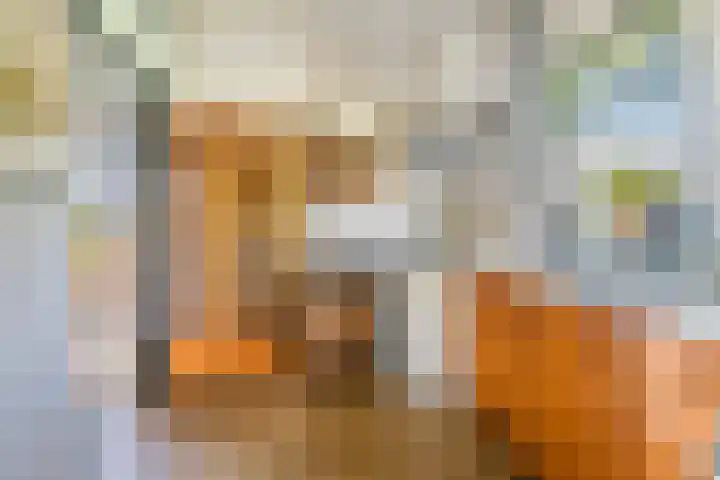 Rijnbandijk 125 Maurik thumbnail 32
