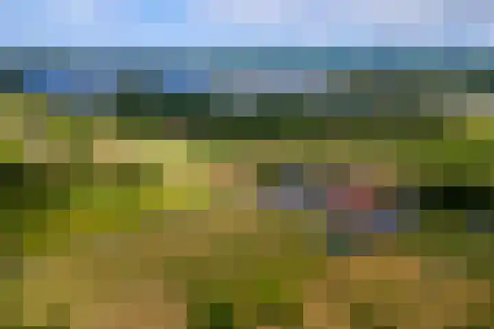 Rijnbandijk 125 Maurik thumbnail 4