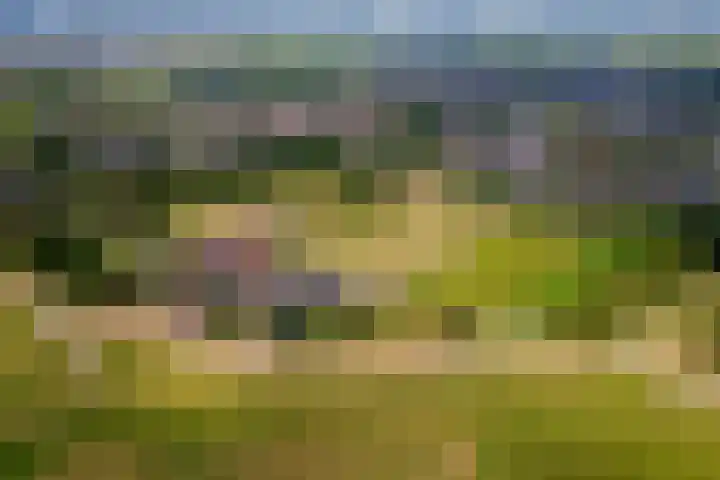 Rijnbandijk 125 Maurik thumbnail 5