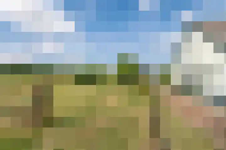 Rijnbandijk 125 Maurik thumbnail 8