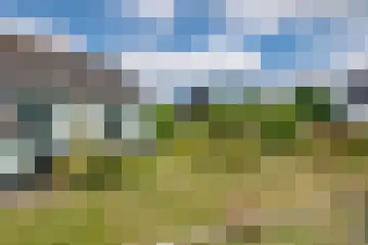 Rijnbandijk 125 Maurik thumbnail 9