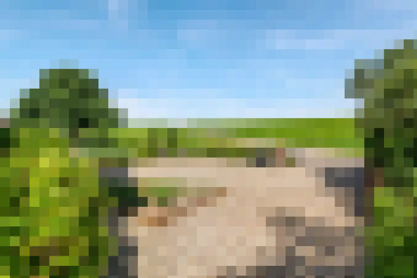 Rijnbandijk 145 Maurik thumbnail 10