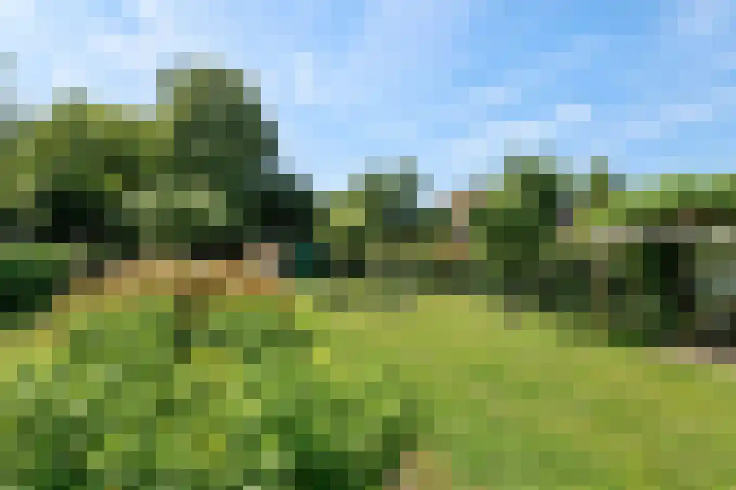 Rijnbandijk 145 Maurik thumbnail 19
