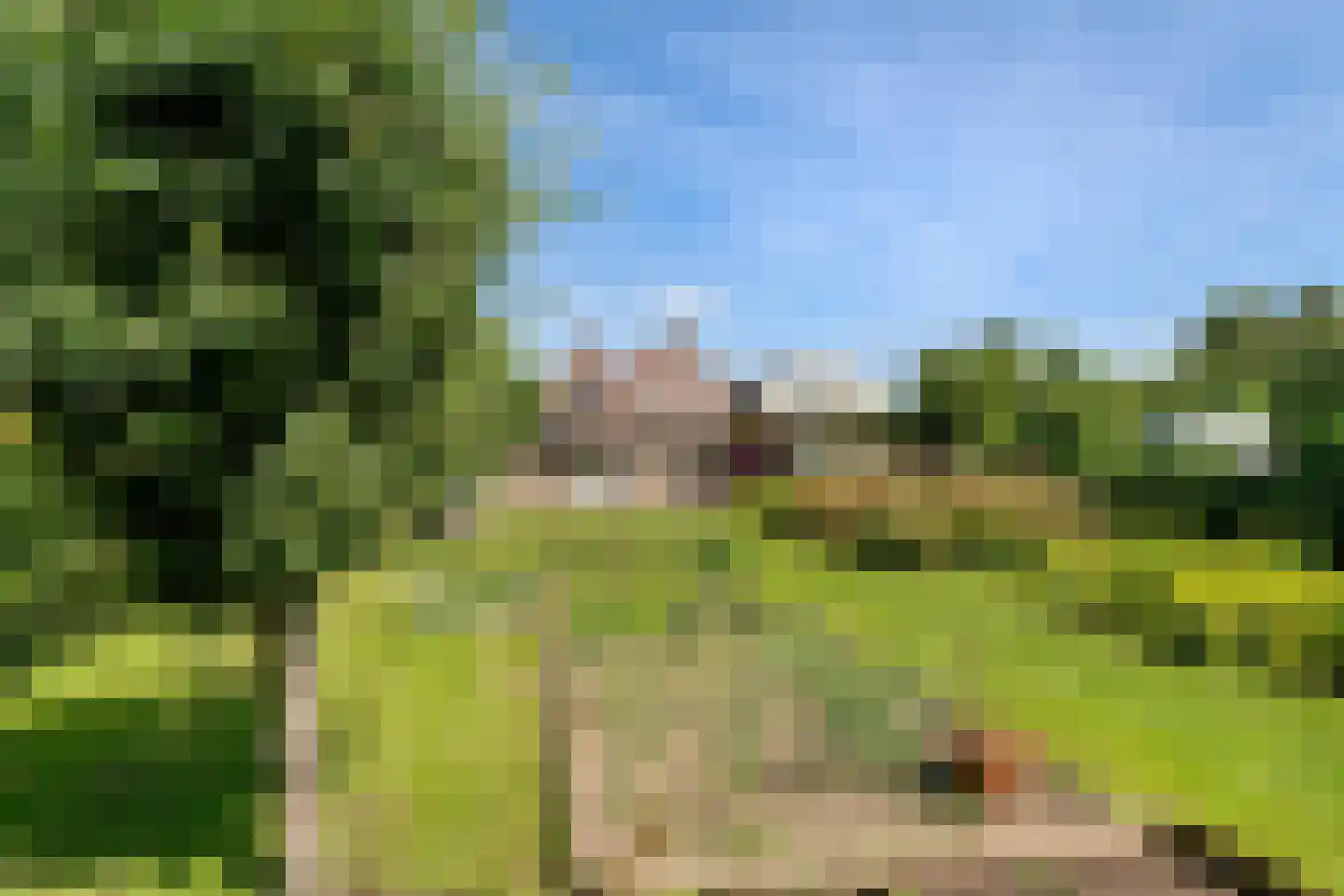 Rijnbandijk 145 Maurik thumbnail 21