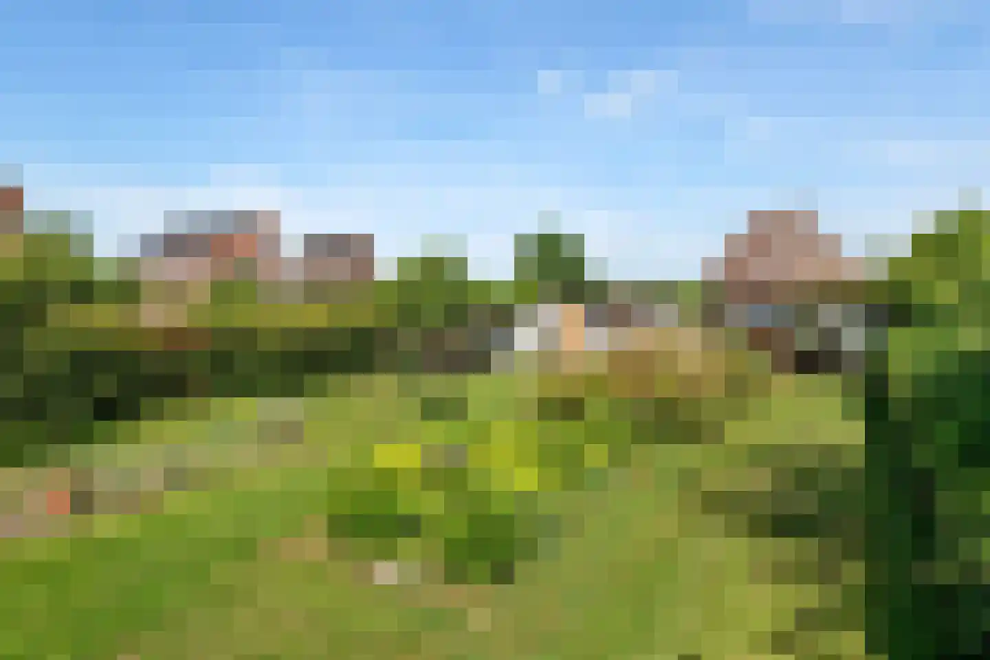 Rijnbandijk 145 Maurik thumbnail 23