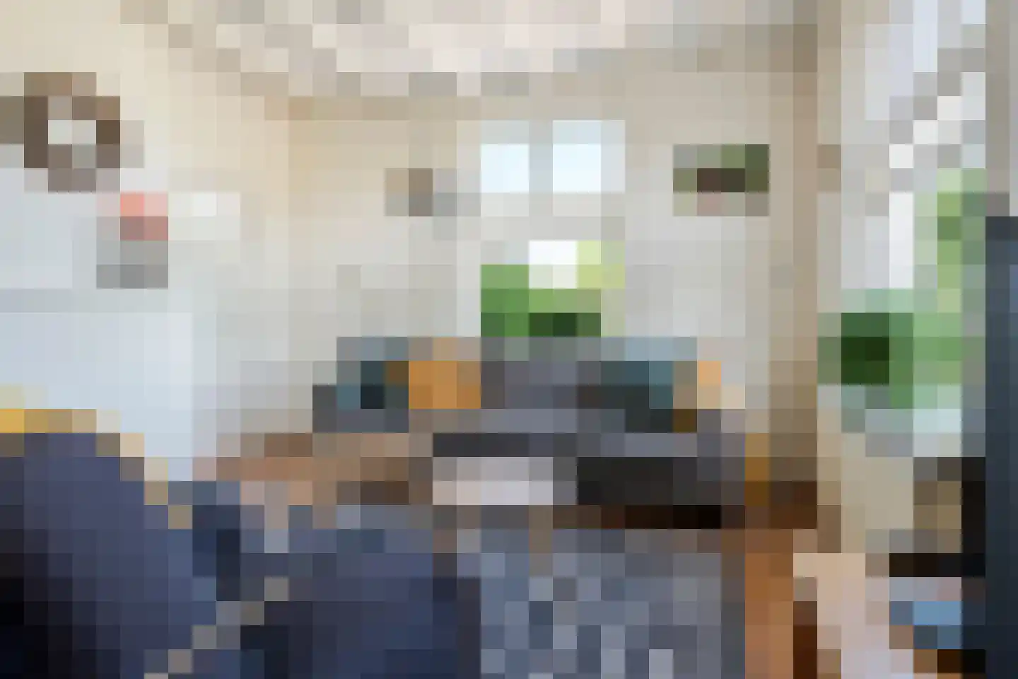 Rijnbandijk 145 Maurik thumbnail 31