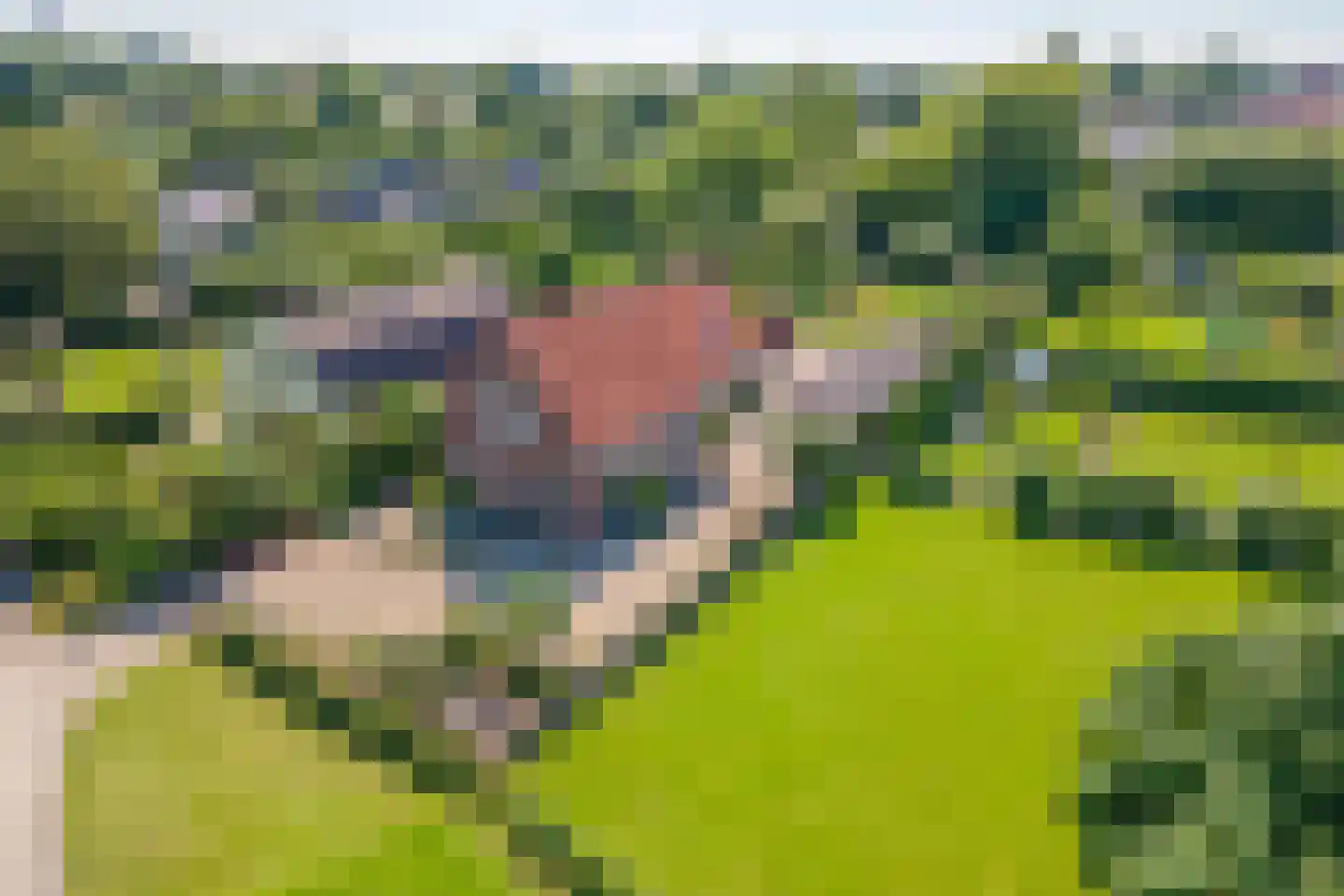 Rijnbandijk 145 Maurik thumbnail 67