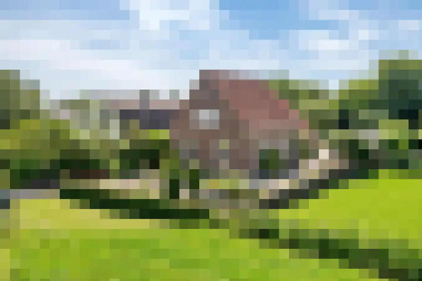 Rijnbandijk 145 Maurik thumbnail 8