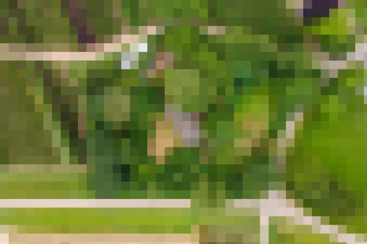 Rijnbandijk 151 Kesteren thumbnail 101