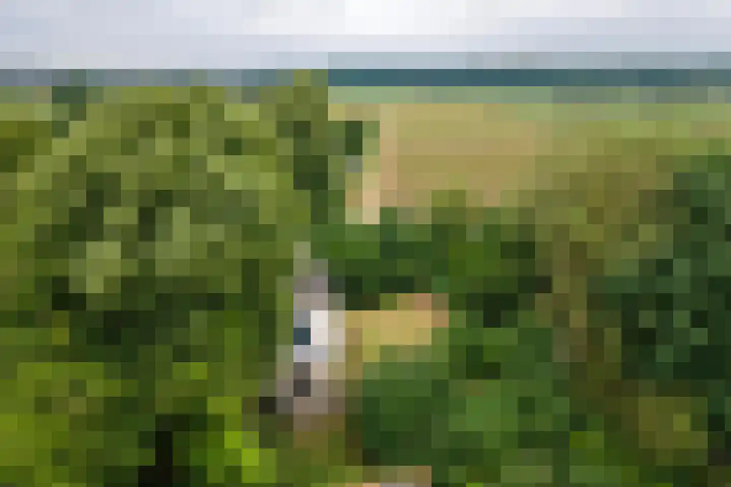 Rijnbandijk 151 Kesteren thumbnail 108