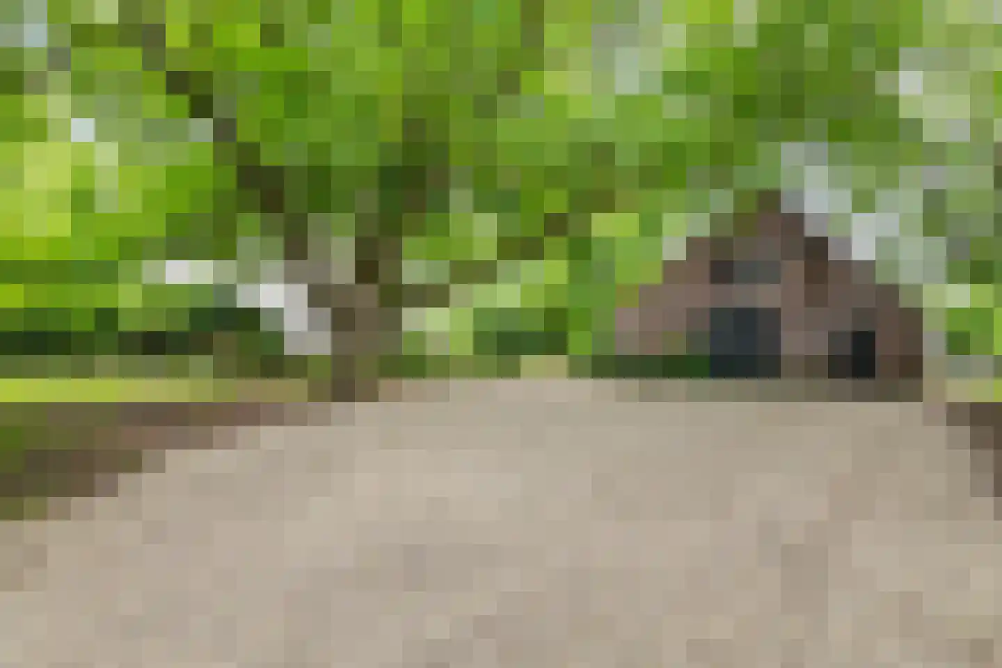 Rijnbandijk 151 Kesteren thumbnail 11