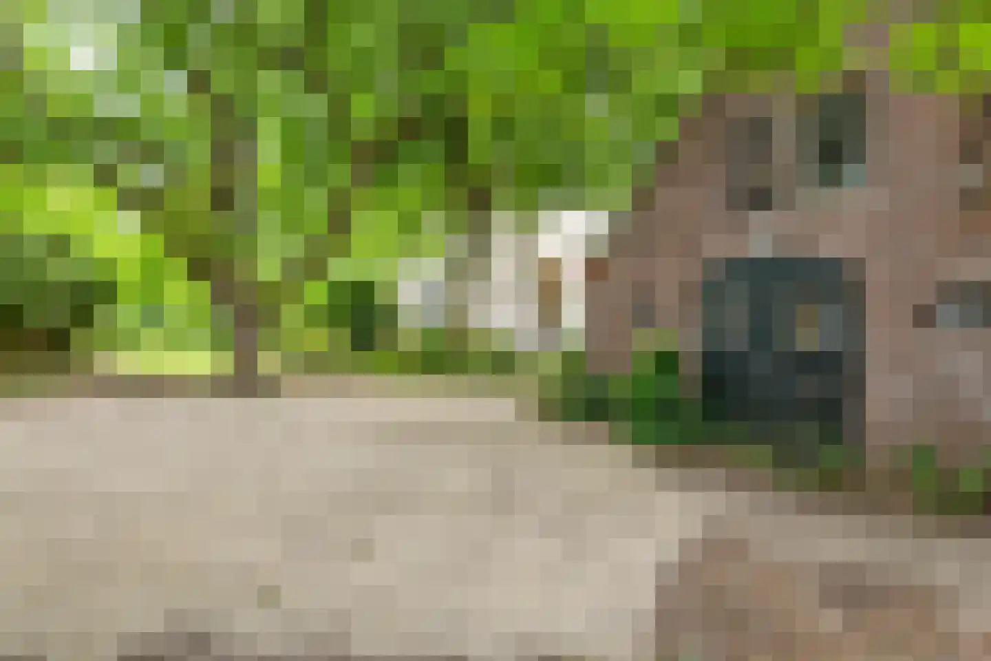 Rijnbandijk 151 Kesteren thumbnail 12