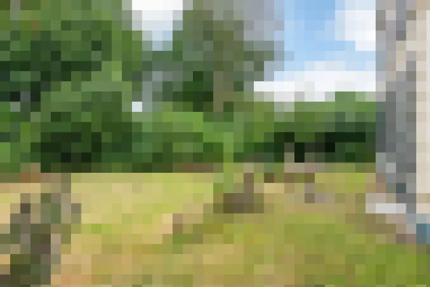 Rijnbandijk 151 Kesteren thumbnail 17