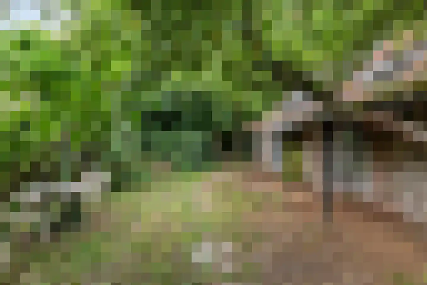 Rijnbandijk 151 Kesteren thumbnail 18