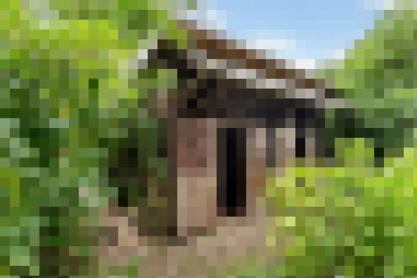 Rijnbandijk 151 Kesteren thumbnail 20