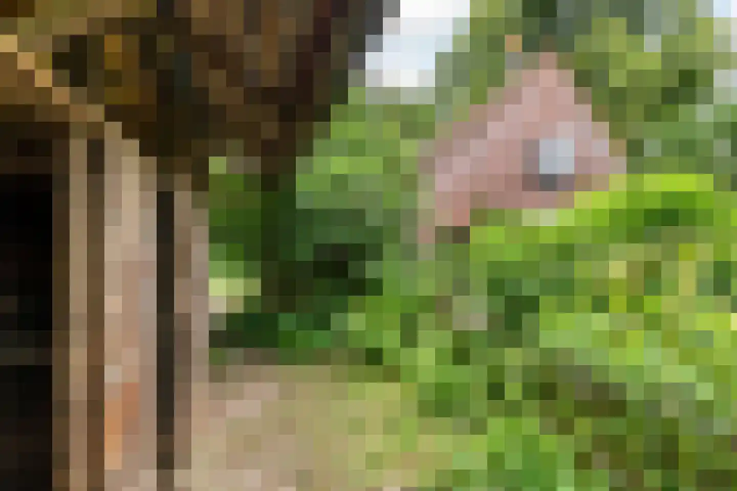 Rijnbandijk 151 Kesteren thumbnail 21