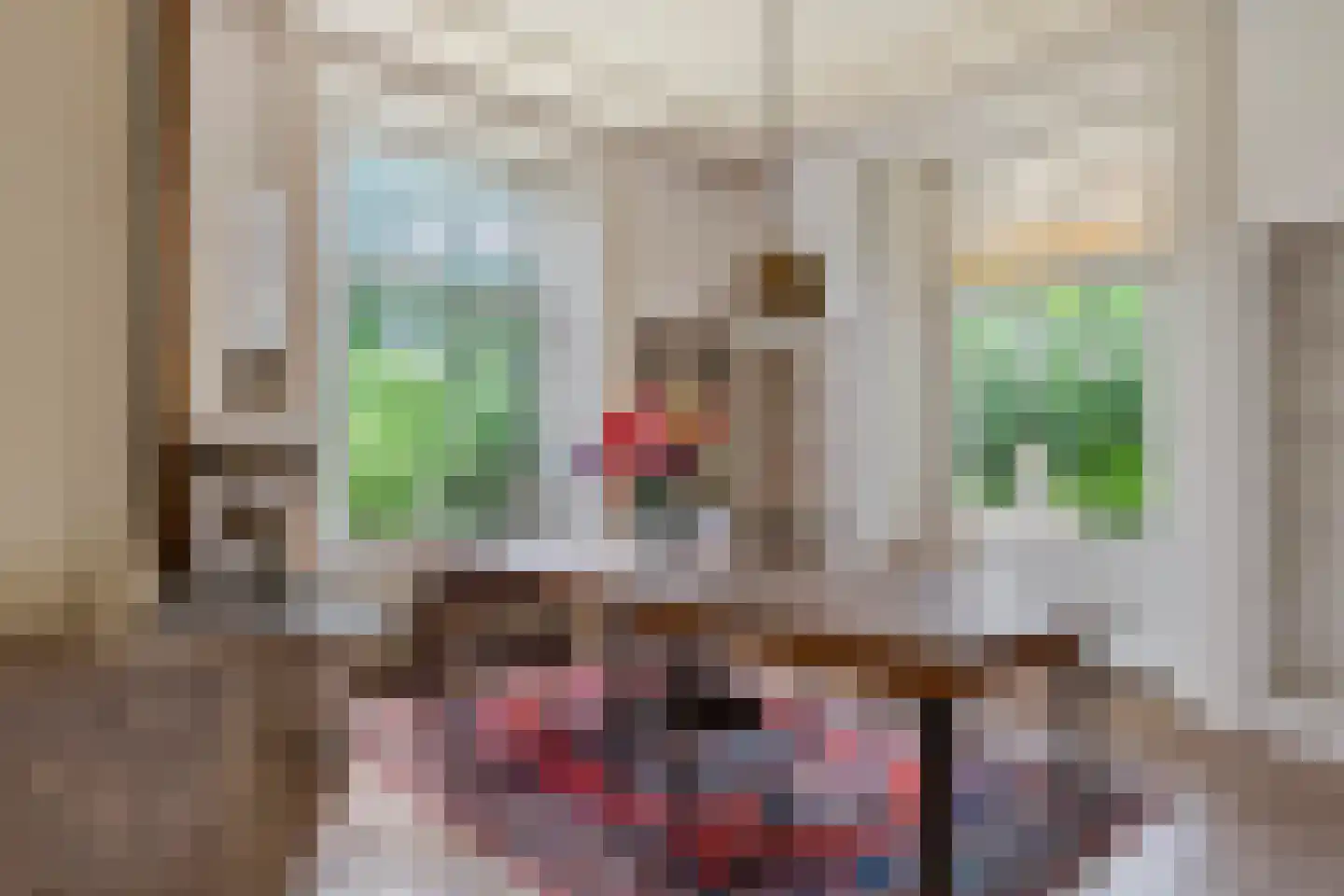 Rijnbandijk 151 Kesteren thumbnail 42