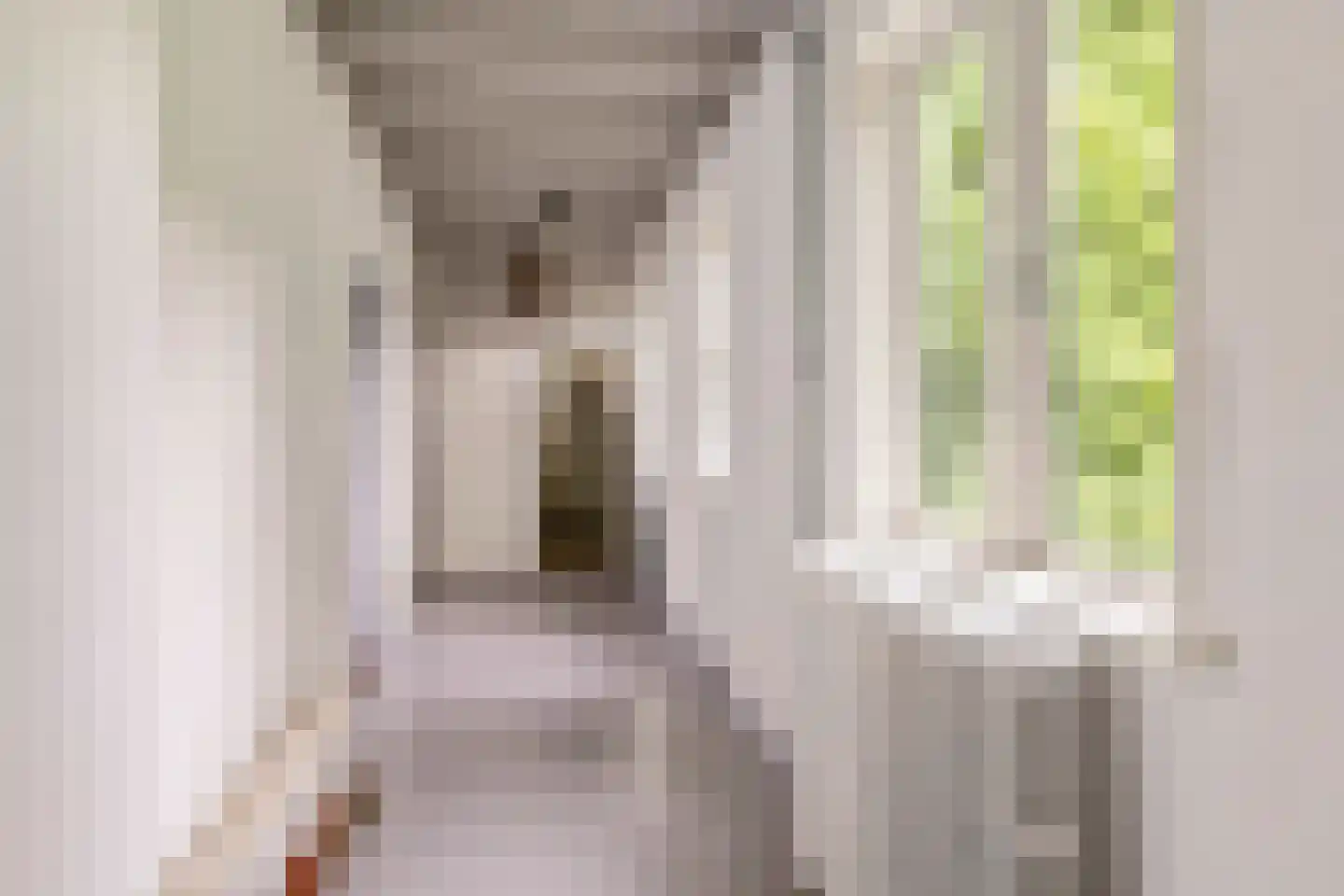 Rijnbandijk 151 Kesteren thumbnail 68