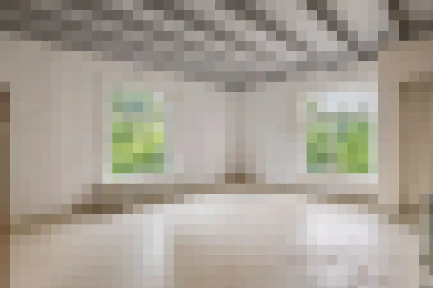 Rijnbandijk 151 Kesteren thumbnail 69