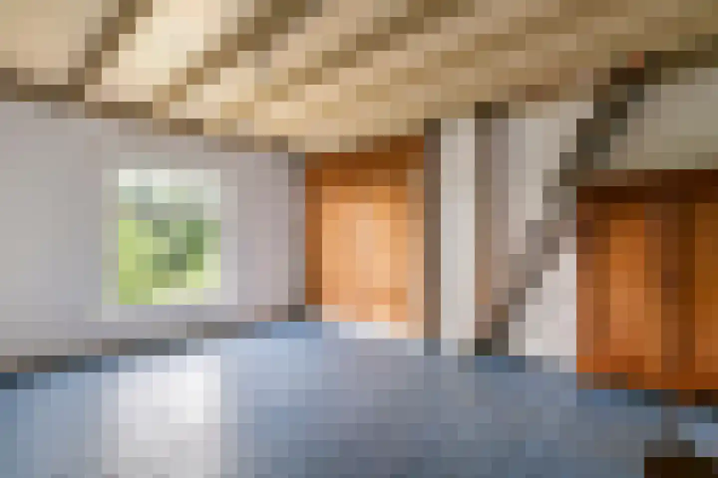 Rijnbandijk 151 Kesteren thumbnail 73