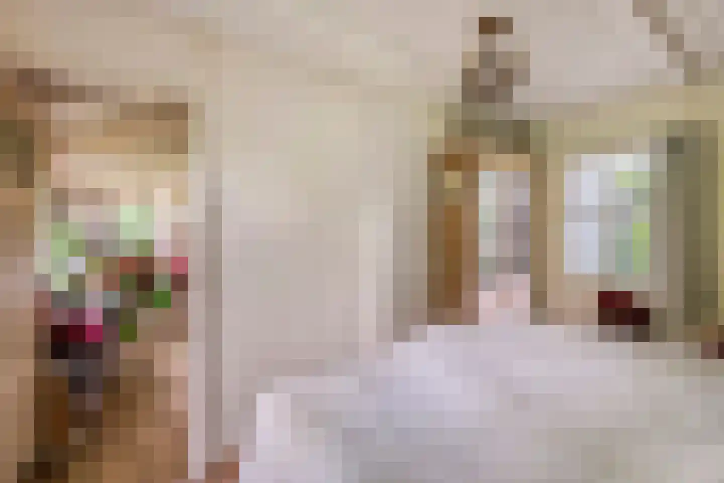 Rijnbandijk 151 Kesteren thumbnail 89