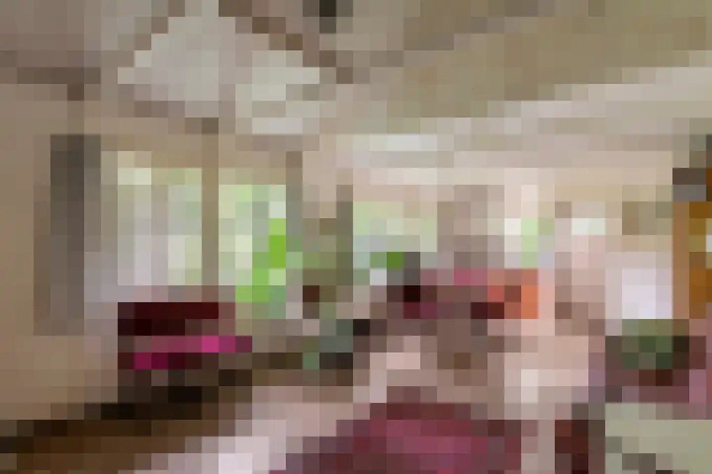 Rijnbandijk 151 Kesteren thumbnail 90