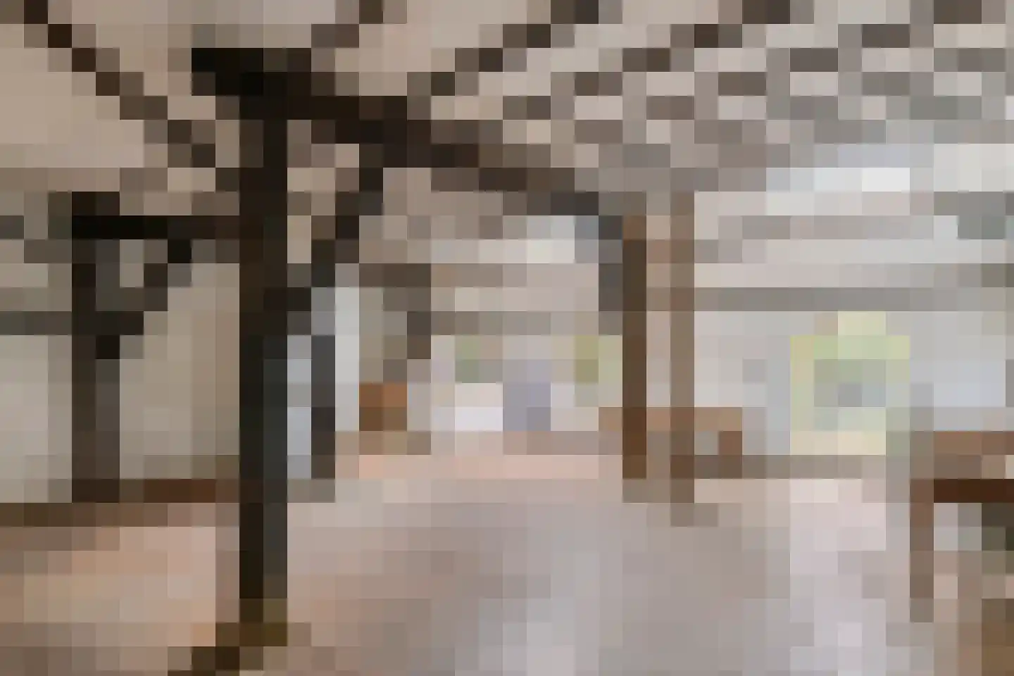 Rijnbandijk 151 Kesteren thumbnail 92