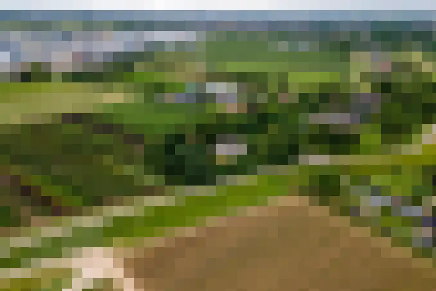 Rijnbandijk 151 Kesteren thumbnail 99