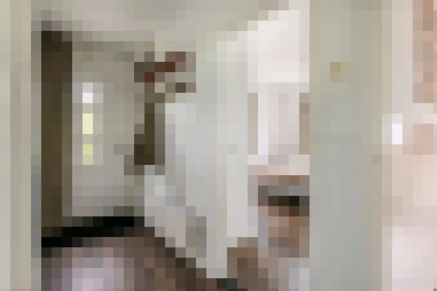 Rijnbandijk 161 Maurik thumbnail 22