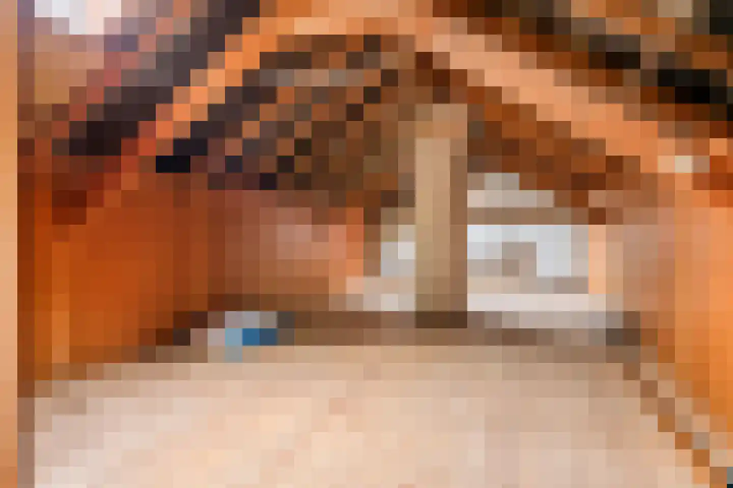 Rijnbandijk 161 Maurik thumbnail 32