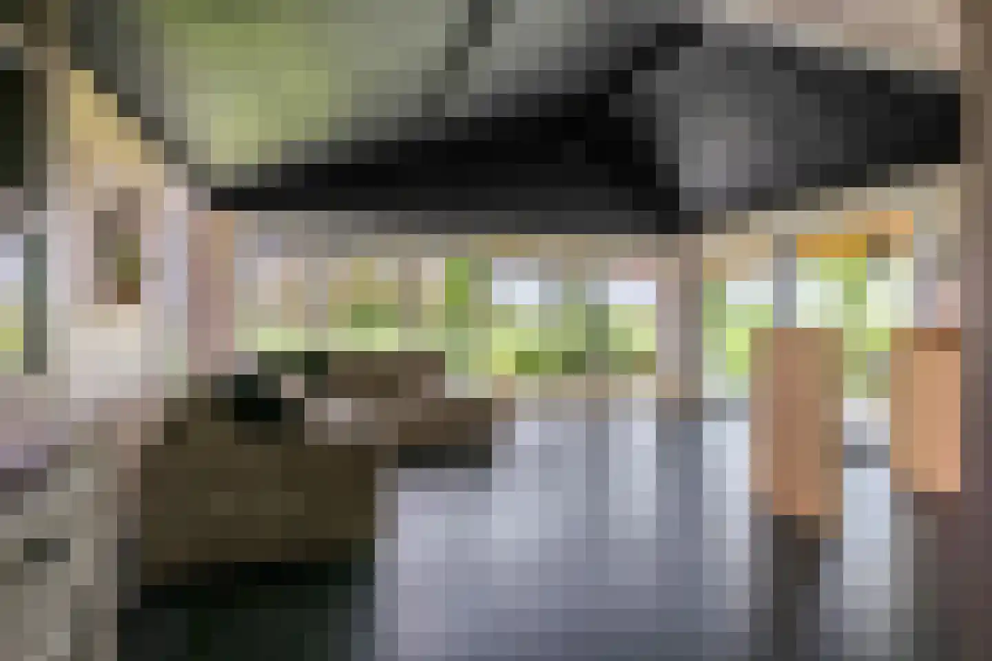 Rijnbandijk 161 Maurik thumbnail 38