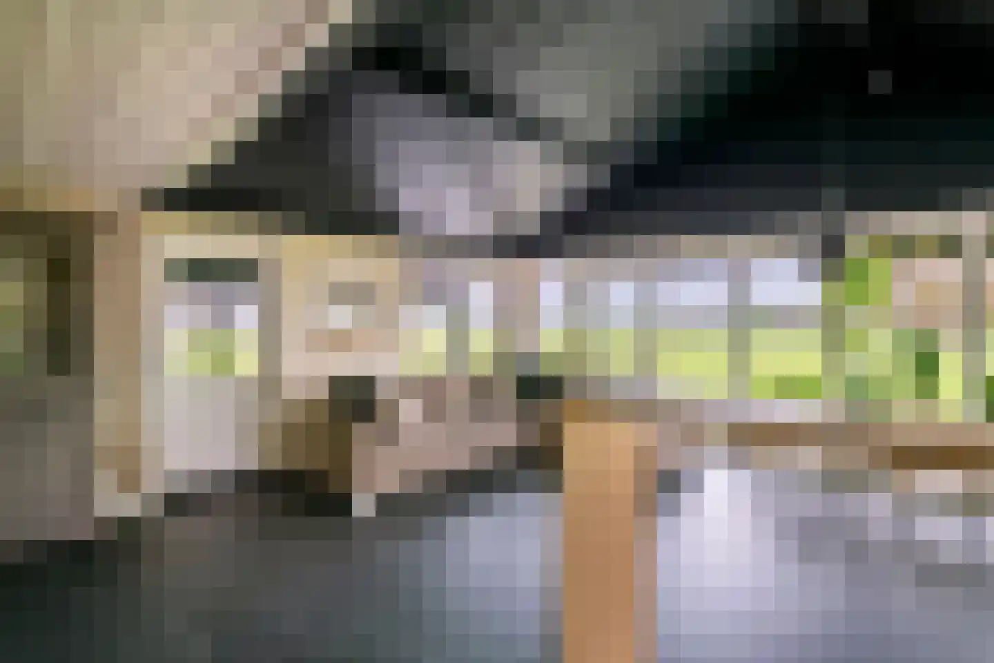 Rijnbandijk 161 Maurik thumbnail 39