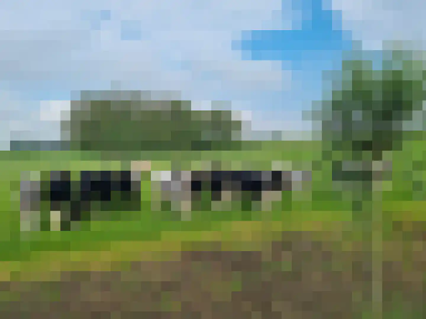 Rijnbandijk 161 Maurik thumbnail 5