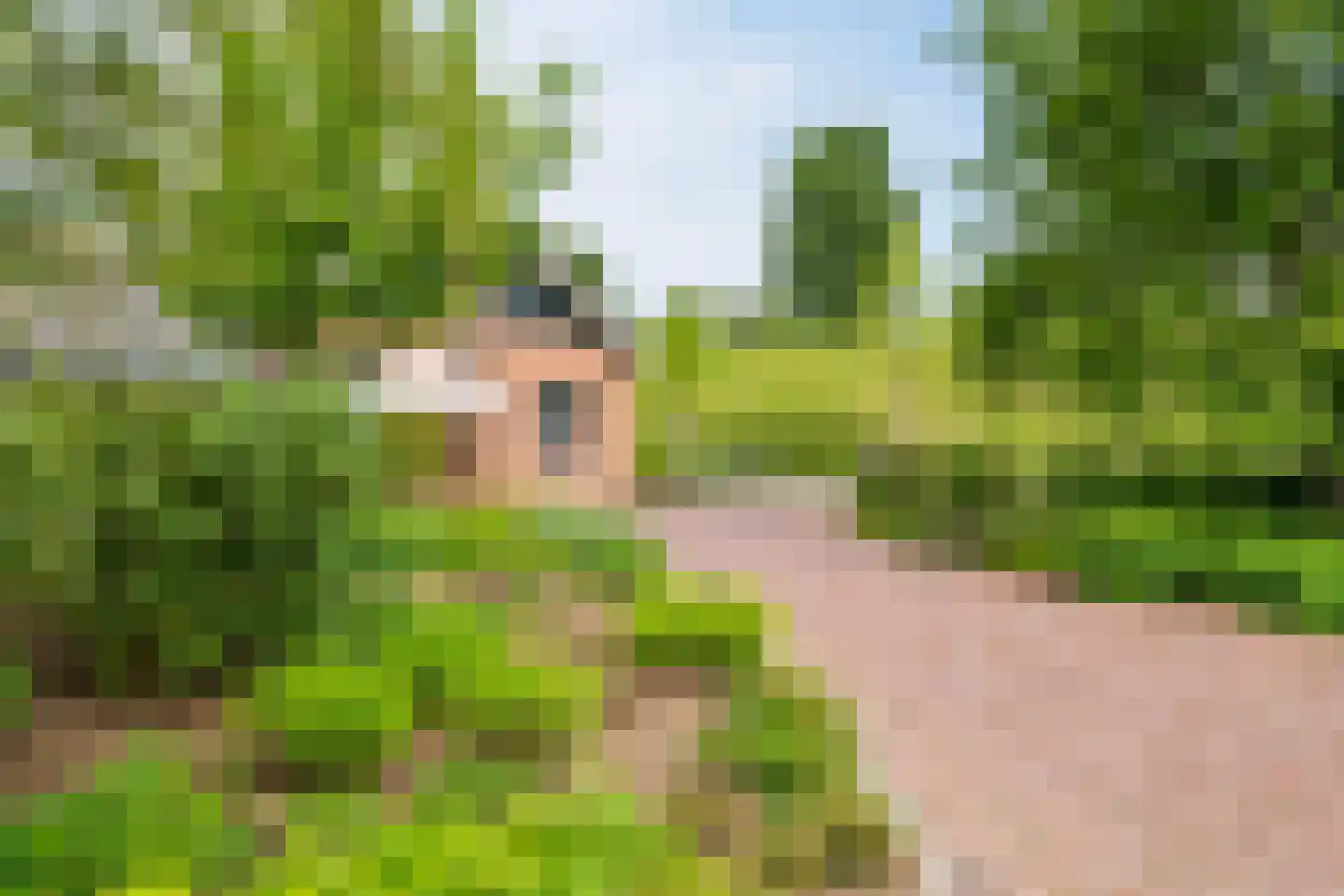 Rijnbandijk 161 Maurik thumbnail 51