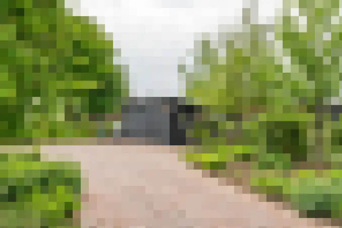 Rijnbandijk 161 Maurik thumbnail 54